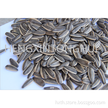 Sunflower Seeds 361/ Sunflower Inshells 361